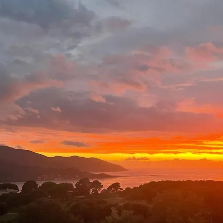Prázdninový dům Haus In Der Naehe Von Und Bergen- Atemberaubende Aussicht- By Interhome Calcatoggio (Corsica)
